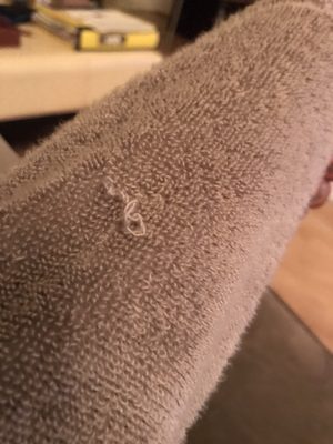 Parachute Home by null