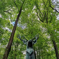 Bavariapark