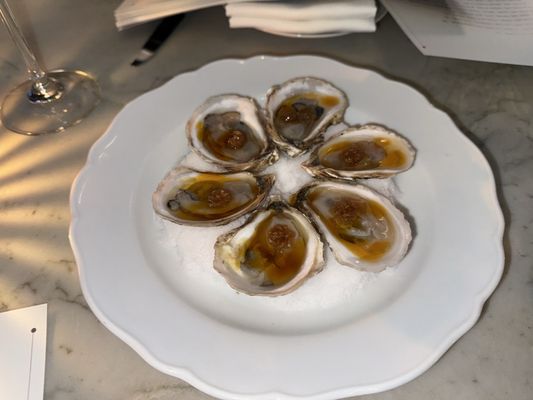 Lucian Books and Wine by null