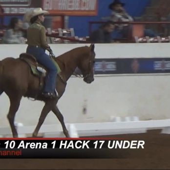 Lia's Equine Training - western dressage world show 2022 - Horseback Riding Near Me Lia's Equine Training - western dressage world show 2022 - Horseback Riding Near Me