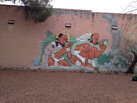 Tucson Bike Tours by null
