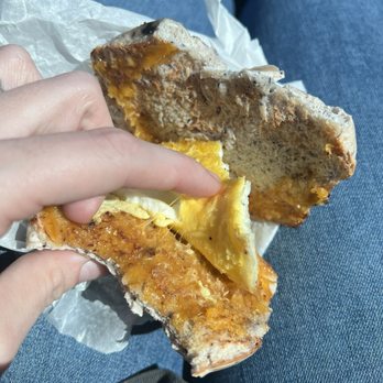 Bloomington Bagel Company - "Bacon egg and cheese on a blueberry bagel" - Bagels Near Me - Bloomington, Indiana