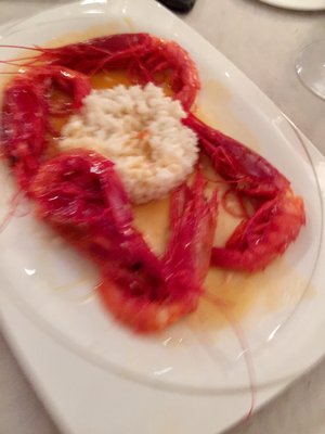 Ristorante Gourmet by null