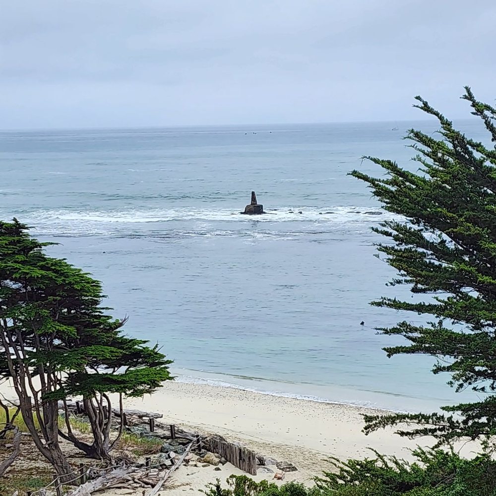 Fitzgerald Marine Reserve - Left side of the beach - Parks Near Me - Moss Beach, California Fitzgerald Marine Reserve - Left side of the beach - Parks Near Me - Moss Beach, California