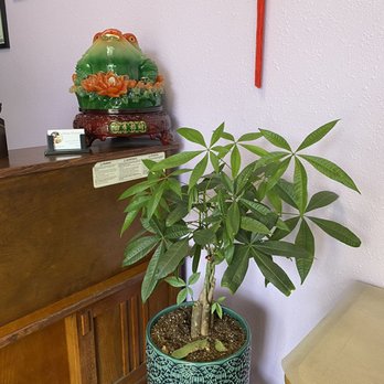 Asian Massage - Massage Near Me - Chico, California