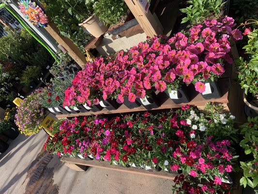 Ace Hardware of West LA by null