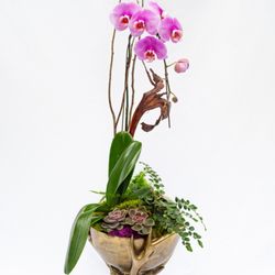 Atlanta Planters