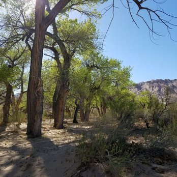 San Rafael Swell - Great shady camp spot near the reef. - Rest Stops Near Me San Rafael Swell - Great shady camp spot near the reef. - Rest Stops Near Me