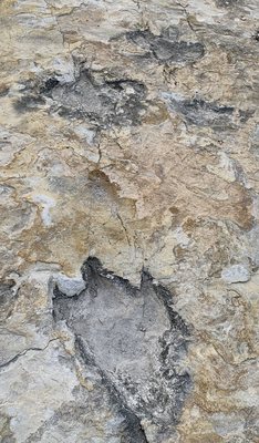 Clayton Lake State Park and Dinosaur Trackways by null