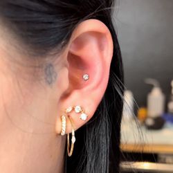 High Point Tattoo - Conch done by our piercer @pain.by.lyza on instagram