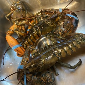 Nelson's Meat + Fish - Lobster! - Seafood Markets Near Me - Phoenix, Arizona Nelson's Meat + Fish - Lobster! - Seafood Markets Near Me - Phoenix, Arizona