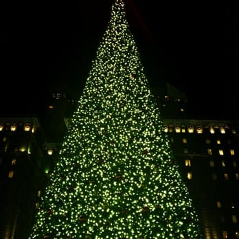 Macy's Christmas Tree - Local Flavor Near Me - San Francisco, California Macy's Christmas Tree - Local Flavor Near Me - San Francisco, California