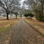 Photo of Johnny Henderson Family Park