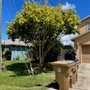Photo of Hurricane Landscaping & Tree Trimming
