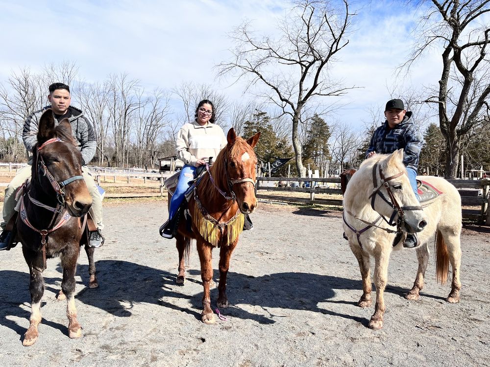 La Finca NJ - equestrian in Whitehouse Station, NJ