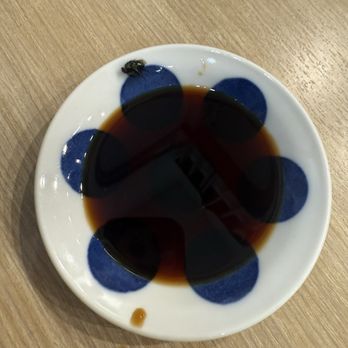 Sunny Dumpling House - Fly in soy sauce - Chinese Near Me - Lake Forest, California Sunny Dumpling House - Fly in soy sauce - Chinese Near Me - Lake Forest, California