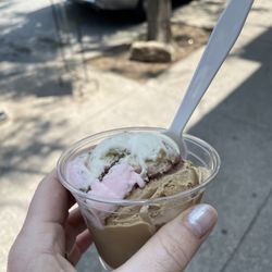Sparky's Homemade Ice Cream - Regular in a cup