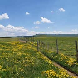 Lac d'en Bas
