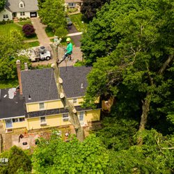 Cruz Tree Services, LLC - A good view from up here