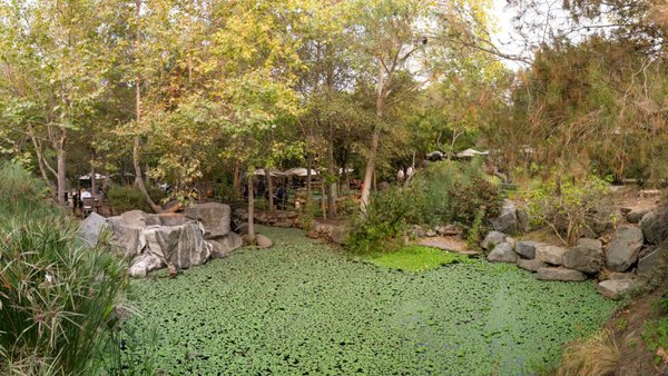 Stone Brewing World Bistro & Gardens - Escondido by null