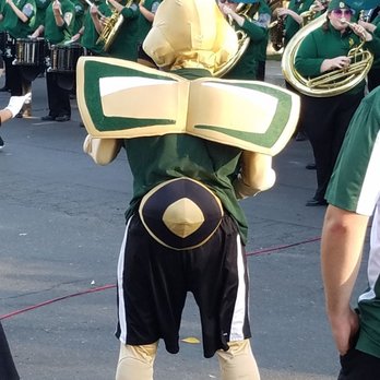 Hornet Stadium - Herky shaking his stinger - Stadiums & Arenas Near Me - Sacramento, California Hornet Stadium - Herky shaking his stinger - Stadiums & Arenas Near Me - Sacramento, California