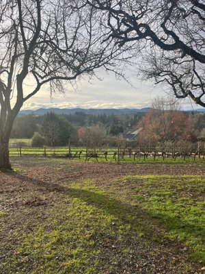 Springhill Cellars Winery (Open May-December) by null