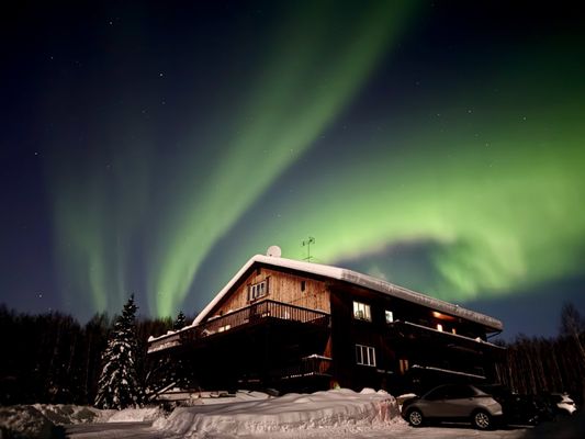 Alaska Grizzly Lodge by null