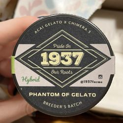 Evergreen Market - Phantom of gelato by 1937