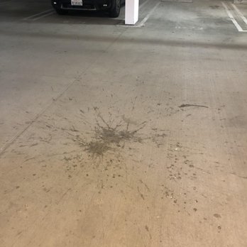 Marc San Marcos - Puke everywhere!!! - Apartments Near Me - San Marcos, California Marc San Marcos - Puke everywhere!!! - Apartments Near Me - San Marcos, California