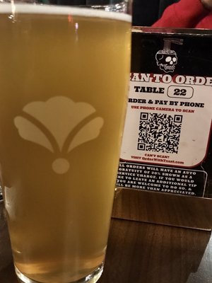 Bearded Iris - Sylvan Supply by null