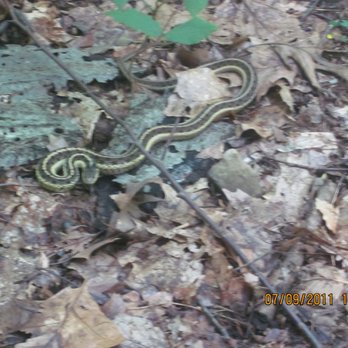 Nolde Forest Environmental Education Center - From the archives - Special Education Near Me - Reading, Pennsylvania