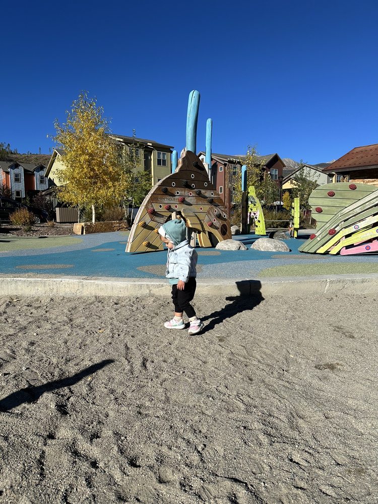 River Park and Playground Logo