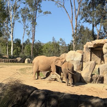 Roar and Snore - Campgrounds Near Me - Escondido, California
