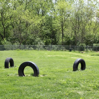 BARC Akron Dog Park - The tires are a fun obstacle for dogs to play on and around. - Pets Near Me - Akron, Ohio BARC Akron Dog Park - The tires are a fun obstacle for dogs to play on and around. - Pets Near Me - Akron, Ohio