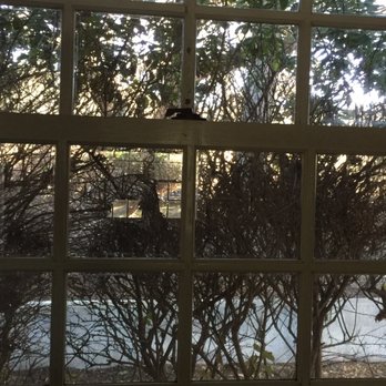 Fogcatcher Inn - Garden view from our back window. Above our "garden" was a road. Can be noisy if window is left open. - Hotels Near Me - Cambria, California Fogcatcher Inn - Garden view from our back window. Above our "garden" was a road. Can be noisy if window is left open. - Hotels Near Me - Cambria, California