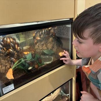 Insectropolis - Children's Museums Near Me - Toms River, New Jersey