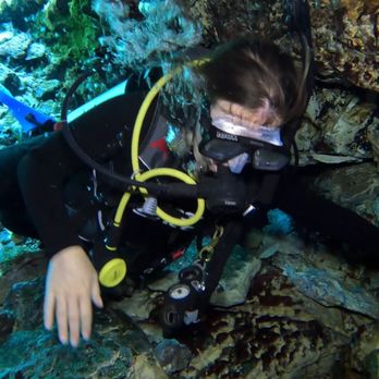 American Pro Diving Center - Cavern in rainbow river - Diving Near Me - Crystal River, Florida