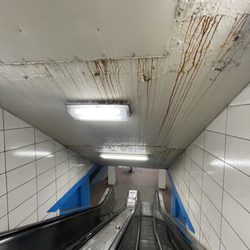 CTA - Clinton [Blue]