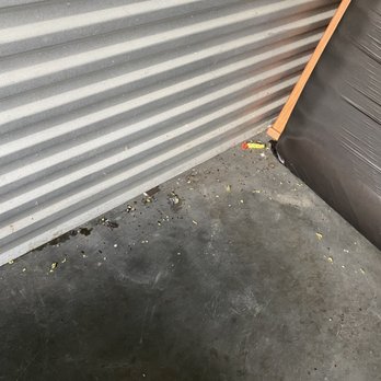 Bowman Plains Self Storage - Mouse/rat droppins - Self Storage Near Me - Frederick, Maryland
