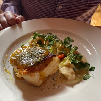 Havana - Halibut - Seafood Near Me - Bar Harbor, Maine