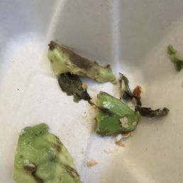 Rotten avocado Rotten avocado