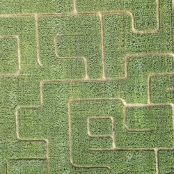 Red Wagon Farm