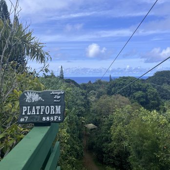 Jungle Zipline Maui - 7th zip line of 8! Loved this background! - Tours Near Me - Haiku, Hawaii Jungle Zipline Maui - 7th zip line of 8! Loved this background! - Tours Near Me - Haiku, Hawaii