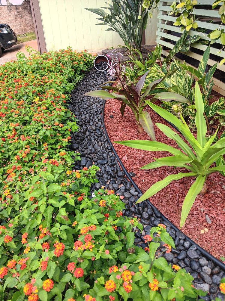 AR-Win Landscaping and Yard Services - tree service in Honolulu, HI