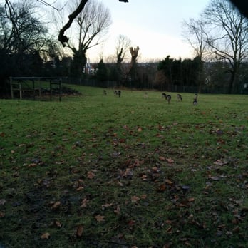 Alexandra Park - Deer Enclosure - Parks Near Me - London, XGL