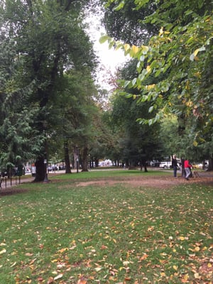 North Park Blocks by null