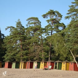 Pihlajasaari