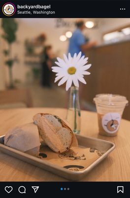 Backyard Bagel by null