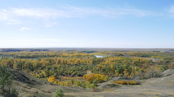 Blackfoot Crossing Historical Park by null