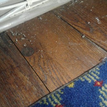 Falls Manor Motel & Restaurant - More dead bugs - Hotels Near Me - Niagara Falls, Ontario Falls Manor Motel & Restaurant - More dead bugs - Hotels Near Me - Niagara Falls, Ontario